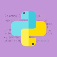 Professional Diploma In Python Programming (PP)